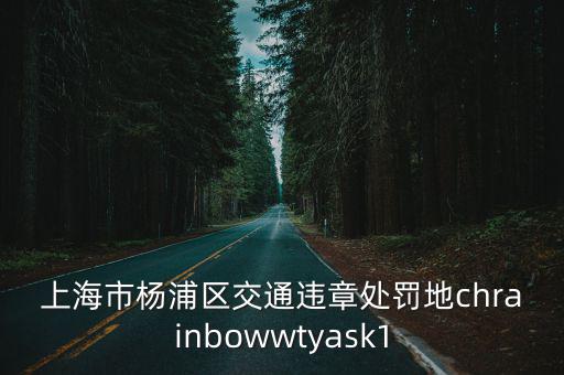 上海市楊浦區交通違章處罰地chrainbowwtyask1