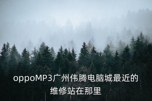 oppoMP3廣州偉騰電腦城最近的維修站在那里