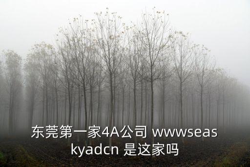 東莞河田保利大廈信息，東莞第一家4A公司 wwwseaskyadcn 是這家嗎