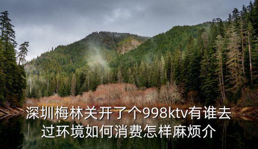 深圳梅林關開了個998ktv有誰去過環境如何消費怎樣麻煩介