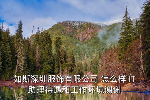 如斯深圳服飾有限公司，如斯深圳服飾有限公司 怎么樣 IT助理待遇和工作環境謝謝