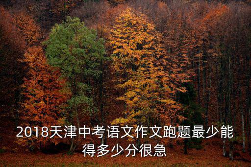 2018天津中考語文作文跑題最少能得多少分很急