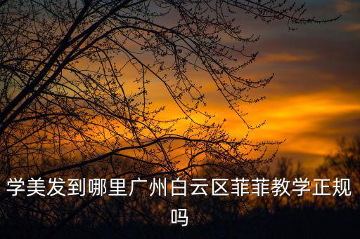學美發到哪里廣州白云區菲菲教學正規嗎