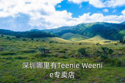 深圳哪里有Teenie Weenie專賣店