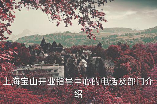 上海寶山開業(yè)指導(dǎo)中心的電話及部門介紹