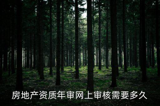 天津市房地產開發企業資質審核，房地產資質年審網上審核需要多久
