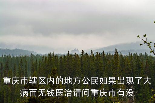 重慶市轄區內的地方公民如果出現了大病而無錢醫治請問重慶市有沒