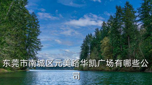 東莞華凱廣場的公司B座1502，東莞華凱化工的公司具體地址是哪里