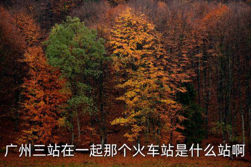 廣州三站在一起那個火車站是什么站啊