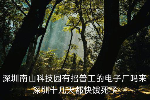 深圳南山科技園有招普工的電子廠嗎來深圳十幾天都快餓死了