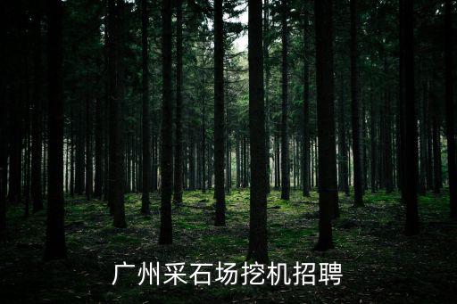 廣州采石場挖機招聘