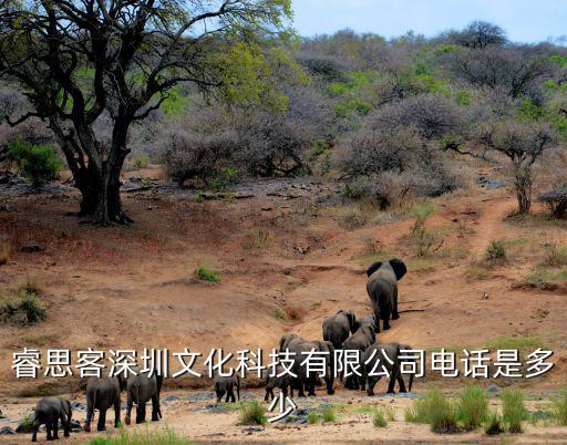 睿思客深圳文化科技有限公司電話是多少