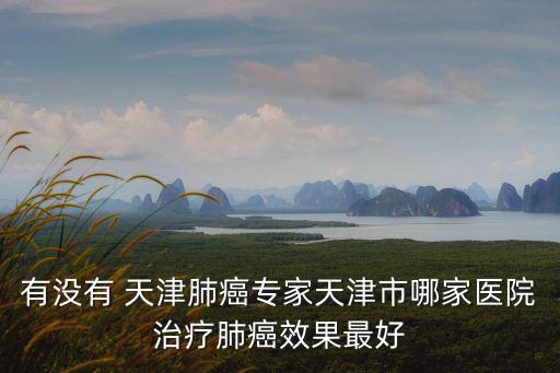 有沒有 天津肺癌專家天津市哪家醫(yī)院治療肺癌效果最好