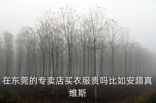 東莞長安買衣服貴不貴，東莞哪里買衣服便宜又好