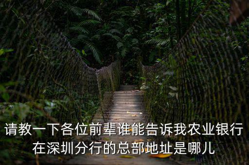請(qǐng)教一下各位前輩誰能告訴我農(nóng)業(yè)銀行在深圳分行的總部地址是哪兒