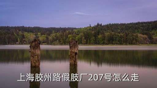 上海膠州路假肢廠207號怎么走