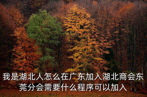 我是湖北人怎么在廣東加入湖北商會東莞分會需要什么程序可以加入