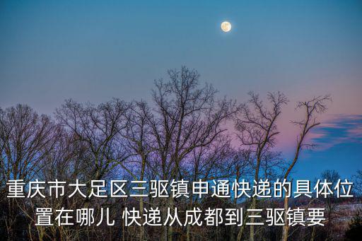 重慶市一路發物流站，一路發和天天哪個物流最快