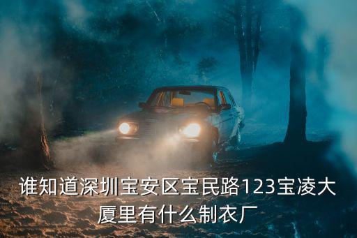 誰(shuí)知道深圳寶安區(qū)寶民路123寶凌大廈里有什么制衣廠