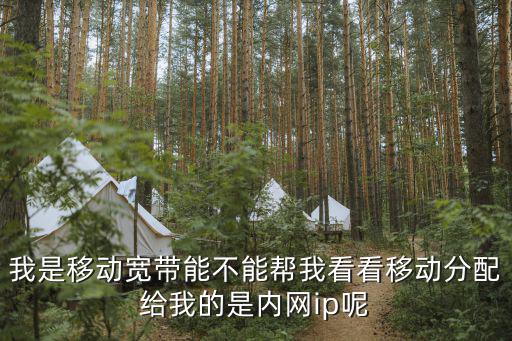 我是移動(dòng)寬帶能不能幫我看看移動(dòng)分配給我的是內(nèi)網(wǎng)ip呢