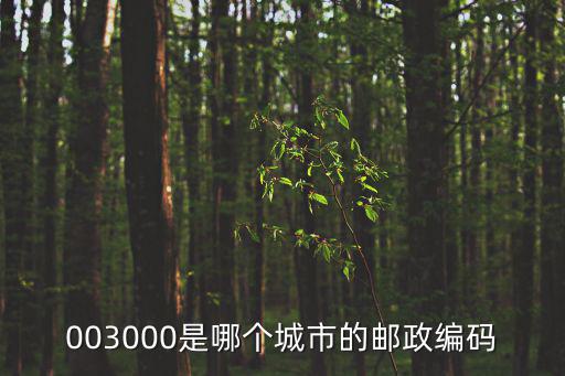 天津市北辰區(qū)西堤頭鎮(zhèn)姚莊村郵編，銀城西堤國際西堤坊郵編是多少