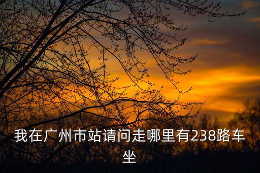我在廣州市站請問走哪里有238路車坐