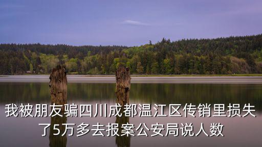 我被朋友騙四川成都溫江區傳銷里損失了5萬多去報案公安局說人數