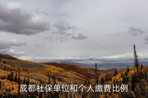 成都社保單位和個人繳費比例