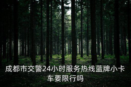 成都市大中型x館轉(zhuǎn)讓，成都市人民政府關(guān)于廢止和宣布失效部分規(guī)章的決定