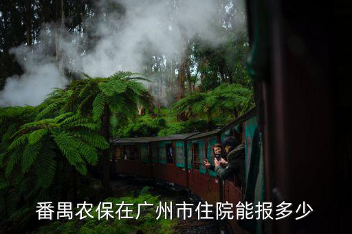 番禺農(nóng)保在廣州市住院能報多少