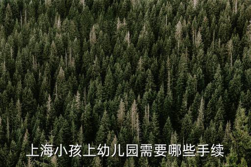 上海市幼兒入園統籌，上海幼兒園 交的160元保險費其中之一是住院互助 另一個80元是什么