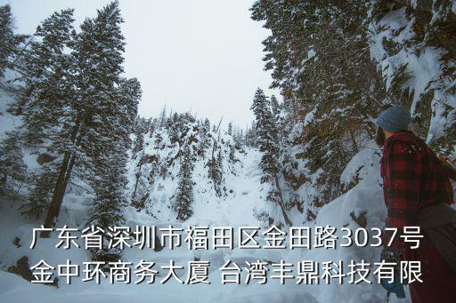 廣東省深圳市福田區金田路3037號金中環商務大廈 臺灣豐鼎科技有限