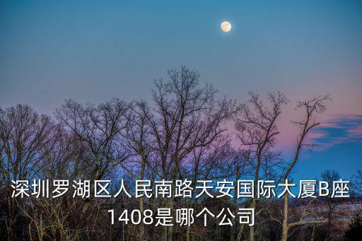 深圳市聯(lián)歐貿(mào)易有限公司，深圳羅湖區(qū)人民南路天安國際大廈B座1408是哪個公司
