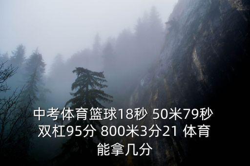中考體育籃球18秒 50米79秒 雙杠95分 800米3分21 體育能拿幾分