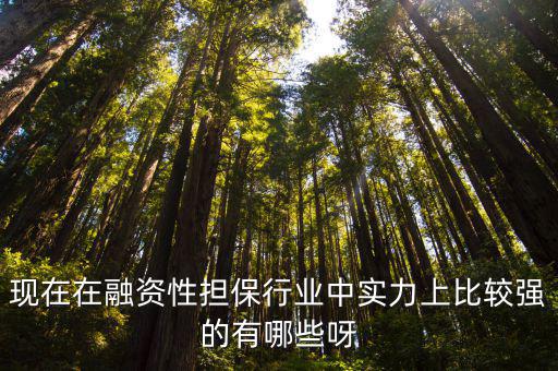 現在在融資性擔保行業中實力上比較強的有哪些呀