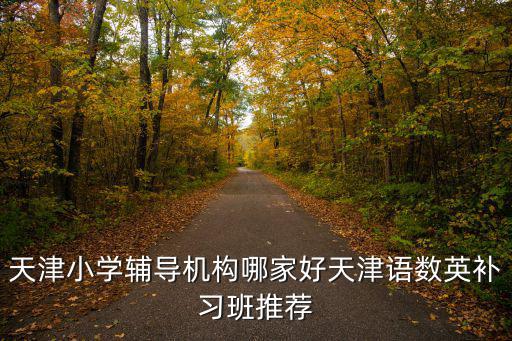 天津小學輔導機構哪家好天津語數英補習班推薦