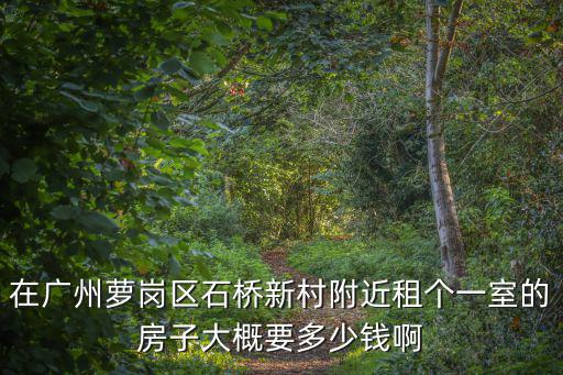 在廣州蘿崗區(qū)石橋新村附近租個一室的房子大概要多少錢啊