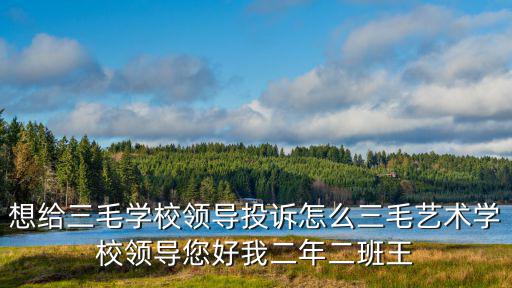 想給三毛學校領導投訴怎么三毛藝術學校領導您好我二年二班王