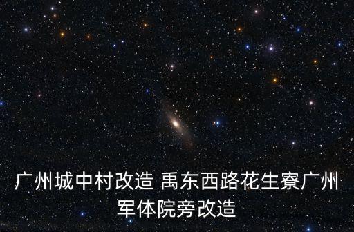 廣州城中村改造 禹東西路花生寮廣州軍體院旁改造