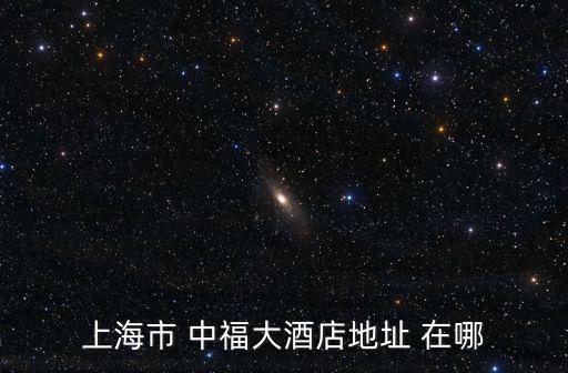 上海市 中福大酒店地址 在哪