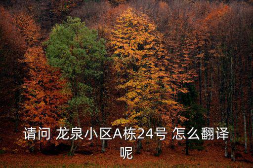 請問 龍泉小區A棟24號 怎么翻譯呢