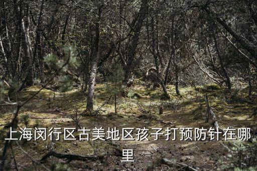 上海閔行區古美地區孩子打預防針在哪里