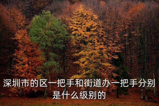 深圳市的區一把手和街道辦一把手分別是什么級別的