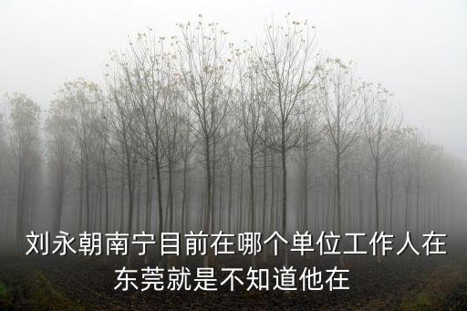 劉永朝南寧目前在哪個(gè)單位工作人在東莞就是不知道他在