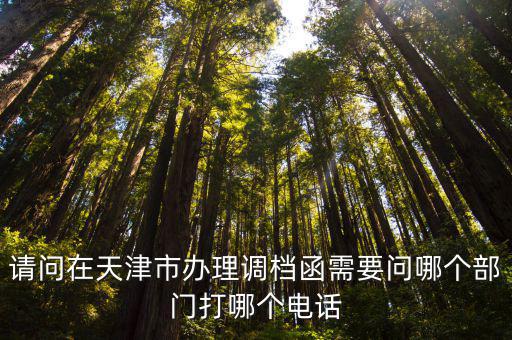 請問在天津市辦理調(diào)檔函需要問哪個(gè)部門打哪個(gè)電話