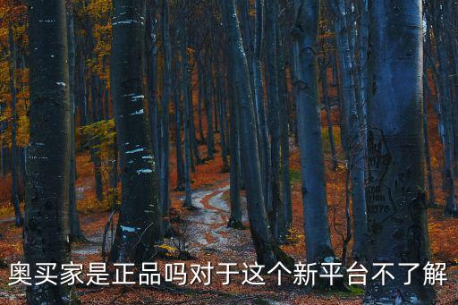 廣州奧買家汽車，奧買家是正品嗎對于這個新平臺不了解