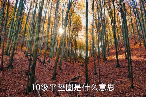 深圳市聯思精密機器有限公司，10級平墊圈是什么意思