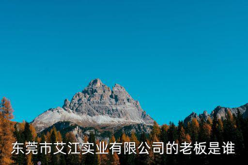 東莞市艾江實業有限公司的老板是誰