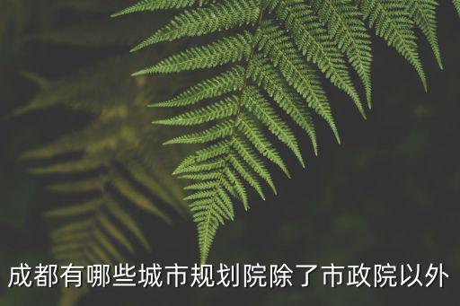 成都市國土空間規劃院，成都市規劃設計院和成都市政院哪個好些大概好在哪里對于給排
