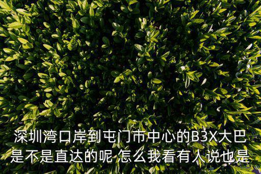 深圳灣口岸到屯門市中心的B3X大巴是不是直達的呢 怎么我看有人說也是